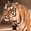 Icône du serveur 𝓑𝓪𝓭 𝓒𝓸𝓶𝓹𝓪𝓷𝔂