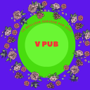 Icône du serveur 🦆 • V Pub™