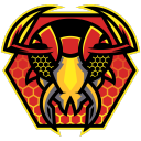 Icône du serveur Hexacrit