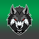 Icône du serveur Novas Esport